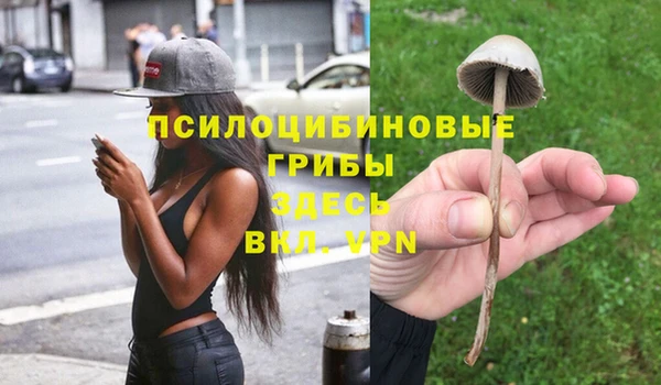 гашик Алзамай