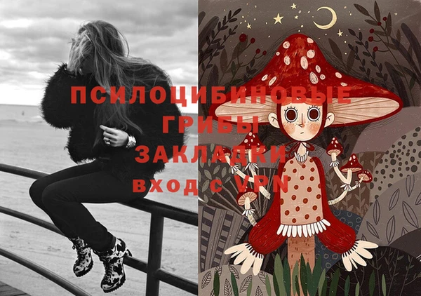 соль ск Алексеевка